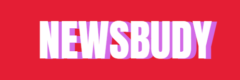 newsbudy logo